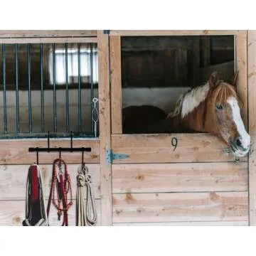 KAXIWEI Tack Rack with 5 Swivel Hooks for Equestrians