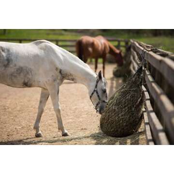 KAXIWEI Tack Rack with 5 Swivel Hooks for Equestrians