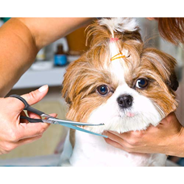 Durable Pet Grooming Scissors Set for Safe Trimming