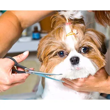 Durable Pet Grooming Scissors Set for Safe Trimming