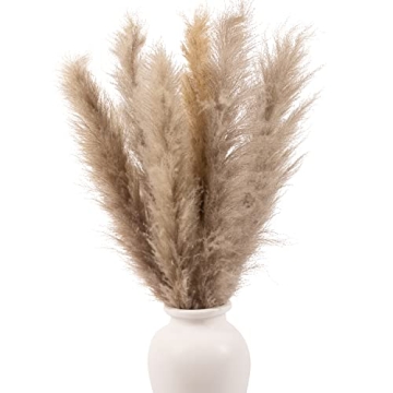 Kleantoolz Sunshine Marigolds Pampas Grass Decor Tall Jumbo Extra-Fluffy Pompas Plumes Faux Pampas Grass Boho Home Decor Pompous Grass - Six (6) Tall Stems 4ft Long (48") - Gray