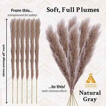 Kleantoolz Sunshine Marigolds Pampas Grass Decor Tall Jumbo Extra-Fluffy Pompas Plumes Faux Pampas Grass Boho Home Decor Pompous Grass - Six (6) Tall Stems 4ft Long (48") - Gray