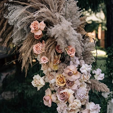 Kleantoolz Sunshine Marigolds Pampas Grass Decor Tall Jumbo Extra-Fluffy Pompas Plumes Faux Pampas Grass Boho Home Decor Pompous Grass - Six (6) Tall Stems 4ft Long (48") - Gray