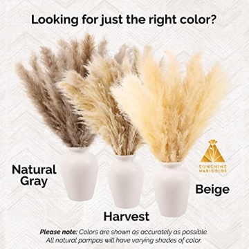 Kleantoolz Sunshine Marigolds Pampas Grass Decor Tall Jumbo Extra-Fluffy Pompas Plumes Faux Pampas Grass Boho Home Decor Pompous Grass - Six (6) Tall Stems 4ft Long (48") - Gray