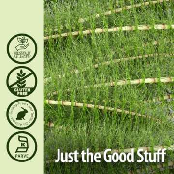 Nature's Answer Horsetail Extract for Hair, Skin & Nails