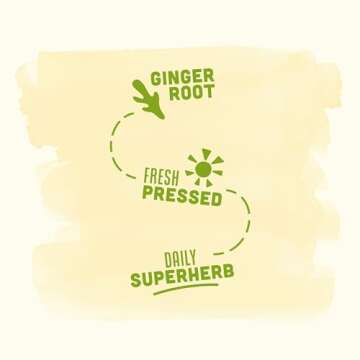 Vive Organic Immune Support Ginger Shot, Cold-Pressed Ginger Root & Organic Juice, Gluten Free, Vega...