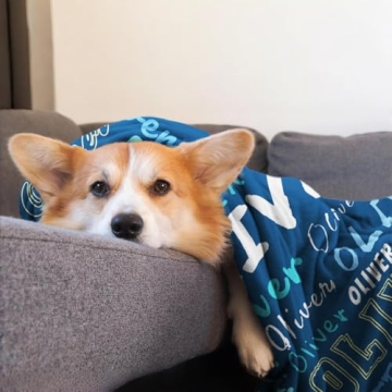 Personalized Blankets – Custom Throws for Adults & Kids