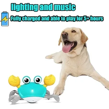 Interactive Crawling Crab Dog Toy with Music & Lights