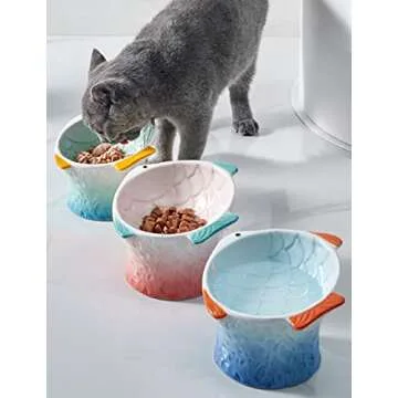 Raised Tilted Ceramic Cat Food Bowl - Cute Fish Shape Elevated Slanted Shallow Angled Cat Dish - Personalized Pet Feeder for Kitty Dry Wet Treats Feeding - Ergonomic Anti Vomiting Whisker Fatigue
