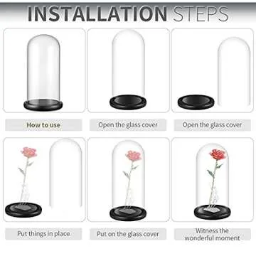 Glass Display Dome ,13" x 6" Cloche with Black Wood Base for Gold Rose Display, Antique Collectibles,Figurine,Decorative Showcase Display