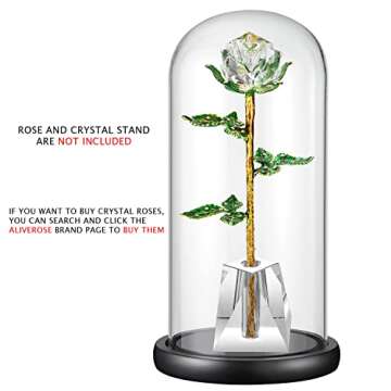 Glass Display Dome ,13" x 6" Cloche with Black Wood Base for Gold Rose Display, Antique Collectibles,Figurine,Decorative Showcase Display