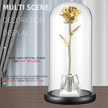 Glass Display Dome ,13" x 6" Cloche with Black Wood Base for Gold Rose Display, Antique Collectibles,Figurine,Decorative Showcase Display