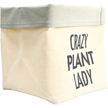 Pavilion Gift Company 72302 Crazy Plant Lady Planter, Gray