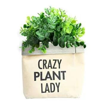 Pavilion Gift Company 72302 Crazy Plant Lady Planter, Gray