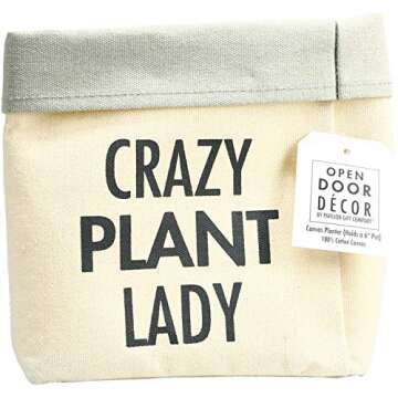 Pavilion Gift Company 72302 Crazy Plant Lady Planter, Gray