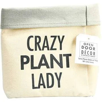 Pavilion Gift Company 72302 Crazy Plant Lady Planter, Gray