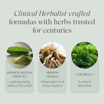 Apothékary Slay All Day Japanese Matcha Powder, Supports Energy, Focus, & Stress Relief, Herbal Supplement, Sugar Free, Gluten Free, Vegan, Plant Based