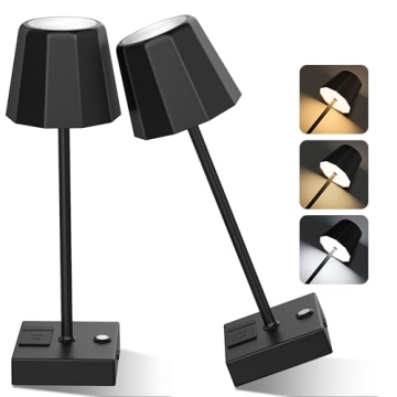 Racokky 2 Pack Cordless Table Lamp - Versatile Rechargeable LED Light