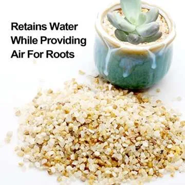 TOYPOPOR Coarse Silica Sand 2.2lb for Bonsai Cacti Succulent and Carnivorous Plant Mix
