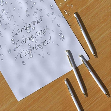 Cambond Ballpoint Pens - Stylish White Ink Pens for All