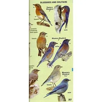 Kaufman Field Guide to Birds of North America Hardcover Kenn Kaufman