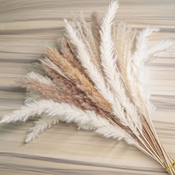 euokrpf 60pcs Natural Dried Pampas Grass for Chic Decor