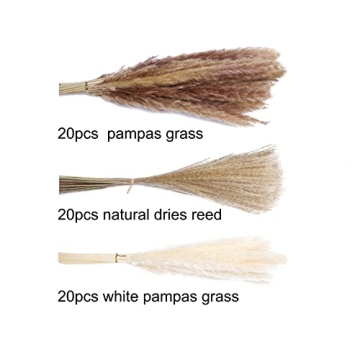 euokrpf 60pcs Natural Dried Pampas Grass for Chic Decor