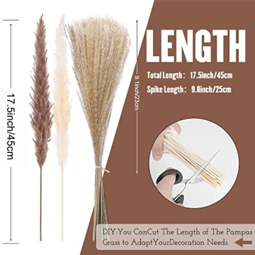 euokrpf 60pcs Natural Dried Pampas Grass for Chic Decor
