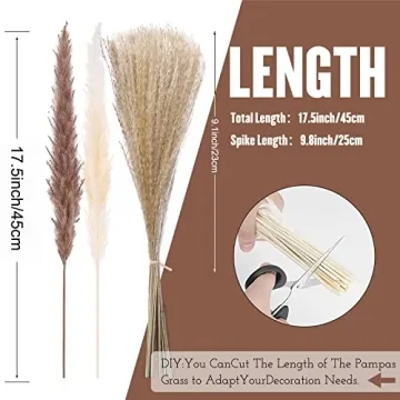euokrpf 60pcs Natural Dried Pampas Grass for Chic Decor