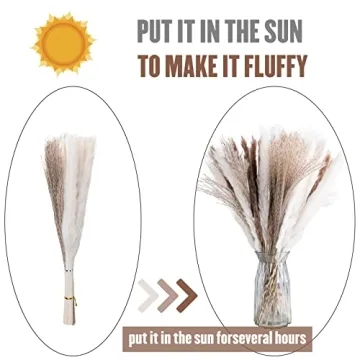 euokrpf 60pcs Natural Dried Pampas Grass for Chic Decor
