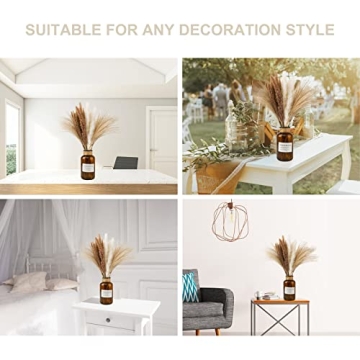 euokrpf 60pcs Natural Dried Pampas Grass for Chic Decor
