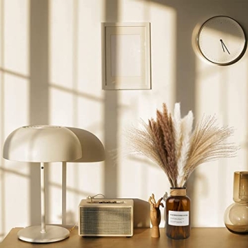 euokrpf 60pcs Natural Dried Pampas Grass for Chic Decor