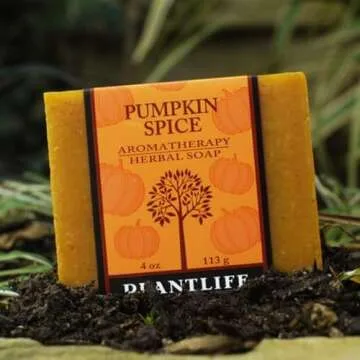 Plantlife Pumpkin Spice Bar Soap - Moisturizing and Soothing Soap for Your Skin - Hand Crafted Using Plant-Based Ingredients - Made in California 4oz Bar