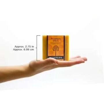 Plantlife Pumpkin Spice Bar Soap - Moisturizing and Soothing Soap for Your Skin - Hand Crafted Using Plant-Based Ingredients - Made in California 4oz Bar