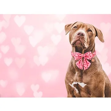 UP URARA Valentine Dog Collar with Bow Tie for Small Dogs
