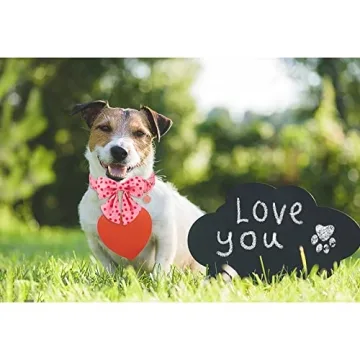 UP URARA Valentine Dog Collar with Bow Tie for Small Dogs