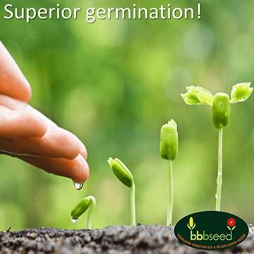 Monarch Butterfly Rescue Wildflower Seed Packet - 1oz, Open-Pollinated Wildflower, No Fillers, Annuals, Perennials and Milkweed Seeds for Monarch Butterfly 1oz