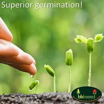 Monarch Butterfly Rescue Wildflower Seed Packet - 1oz, Open-Pollinated Wildflower, No Fillers, Annuals, Perennials and Milkweed Seeds for Monarch Butterfly 1oz