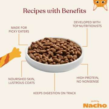 Made by Nacho Kitten Dry Kibble Infused with Bone Broth, Healthy High Protein Cat Food, Cage-Free Chicken and Chicken Liver, 2lb Bag