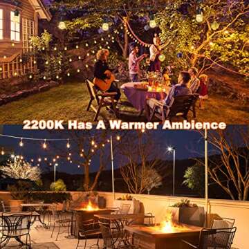 Aveva LED Outdoor String Lights - Safe 12V Solution 48FT