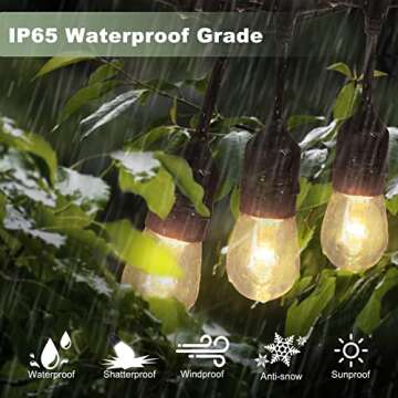 Aveva LED Outdoor String Lights - Safe 12V Solution 48FT