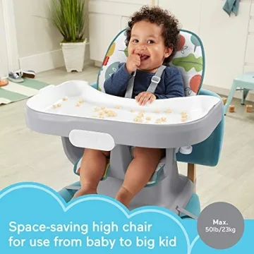 Versatile Fisher-Price SpaceSaver High Chair for Toddlers