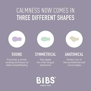 BIBS Pacifiers 0-6 Months | 3-Pack Soothers | BPA-Free Symmetrical Nipple | Made in Denmark | Ivory Try-It Collection (Baby Blue)