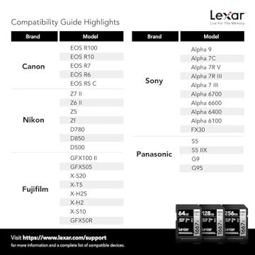Lexar Professional 128GB 2-Pack SDXC Cards for 4K Video