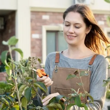 Vivosun 6.5 Inch Precision Gardening Scissors Pruner