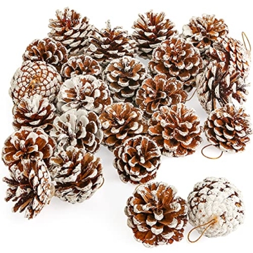 JOHOUSE 24PCS Natural White Pine Cones for Winter and Christmas Decor, Winter Vase Filler