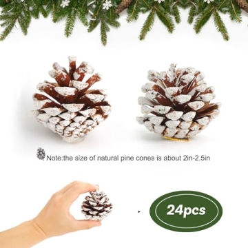 JOHOUSE 24PCS Snow Pinecones for Winter Decor