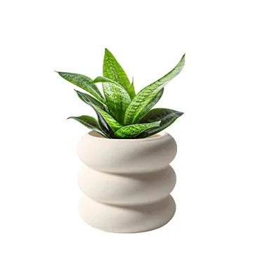 SANDYBAYTAS Ceramic Plant Pot Indoor, 4.5 Inch Beige Unglazed Flower Pot with Drainage Hole, Small B...