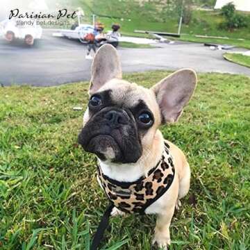 Parisian Pet Freedom Dog Harness - Adjustable Leopard Print Dog Harness - 100% Mesh Fabric Dog Vest Harness - Idle for All Outdoor Adventures - Dog Harness Medium Sized Dog - Puppy Harness - M