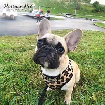 Parisian Pet Freedom Dog Harness - Adjustable Leopard Print Dog Harness - 100% Mesh Fabric Dog Vest Harness - Idle for All Outdoor Adventures - Dog Harness Medium Sized Dog - Puppy Harness - M